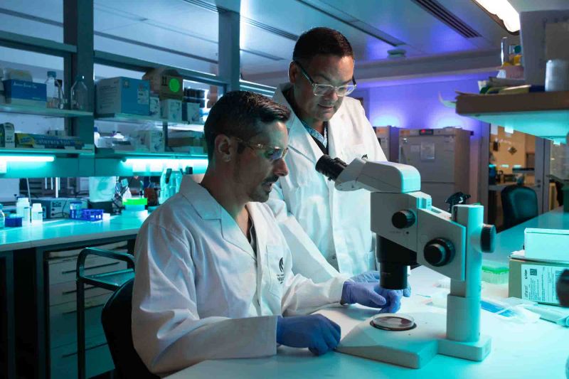Two men working in a labratory using a microscope