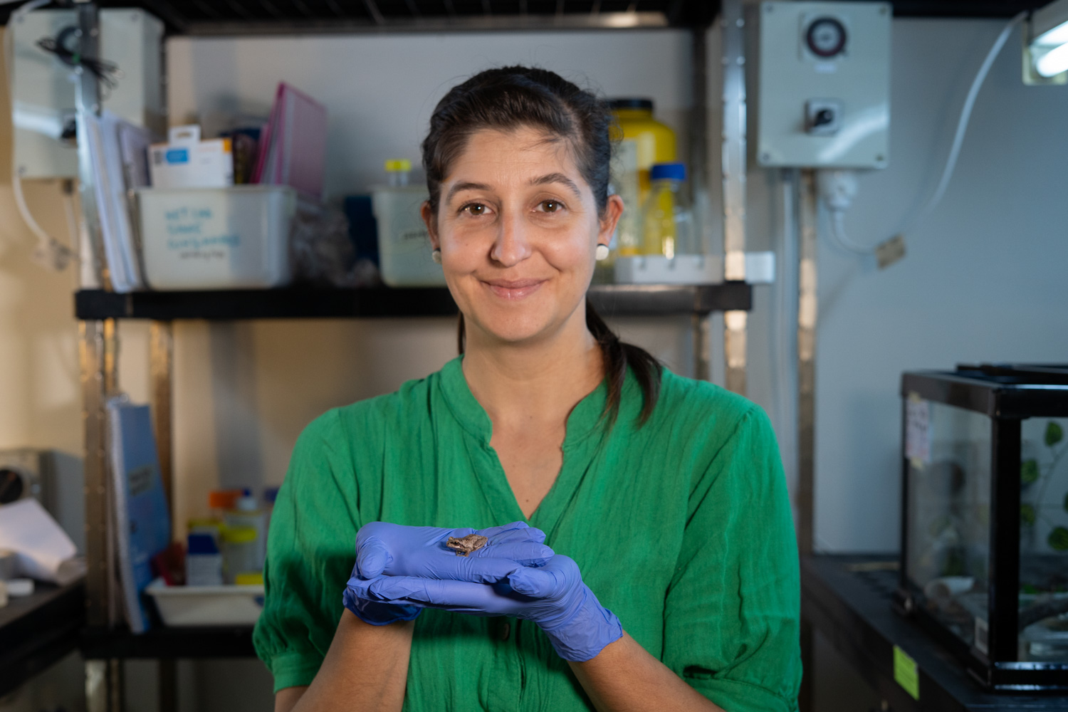 Dr Klop-Toker is pictured in a lab setting smiling to camera. Wearing blue gloves, she holds a tiny frog about the size of a 50 cent coin