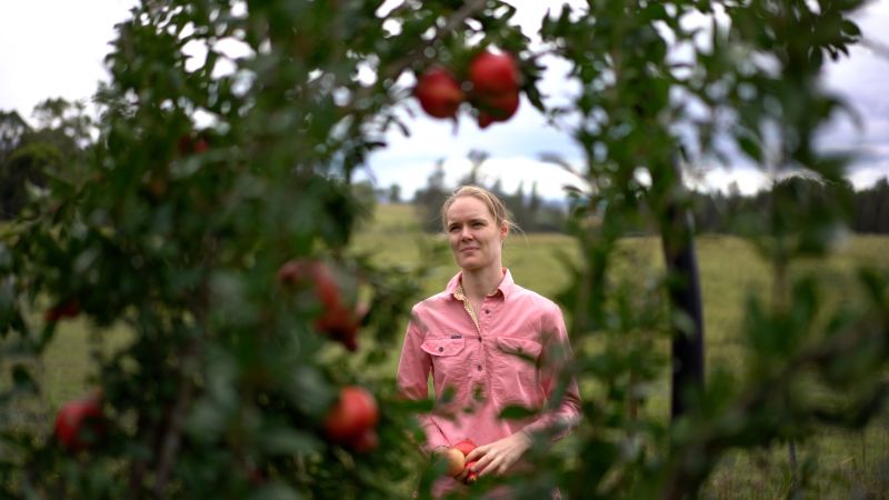 Sophie Nichols through her pomegranate tree