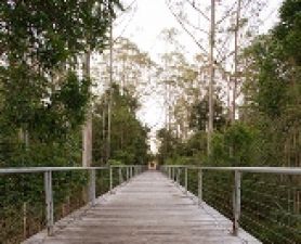 2015 Alumni Awards nominations open. UON Alumni it’s your time to shine 