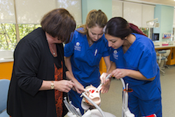 The new simulation facilities have enhanced the learning experience for oral health students at the University of Newcastle 