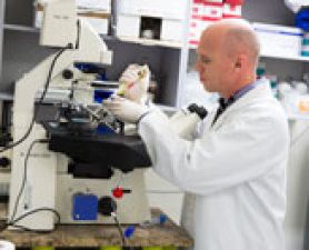 . UON awarded over $5.6 million in NHMRC funding