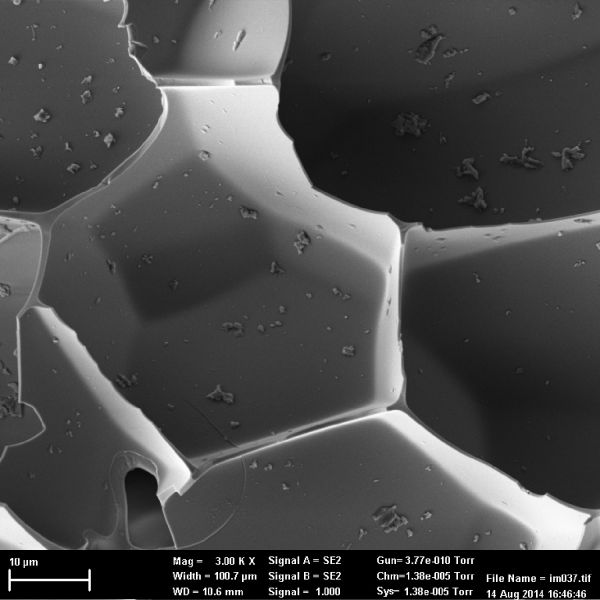 Metallic foam under the microscope