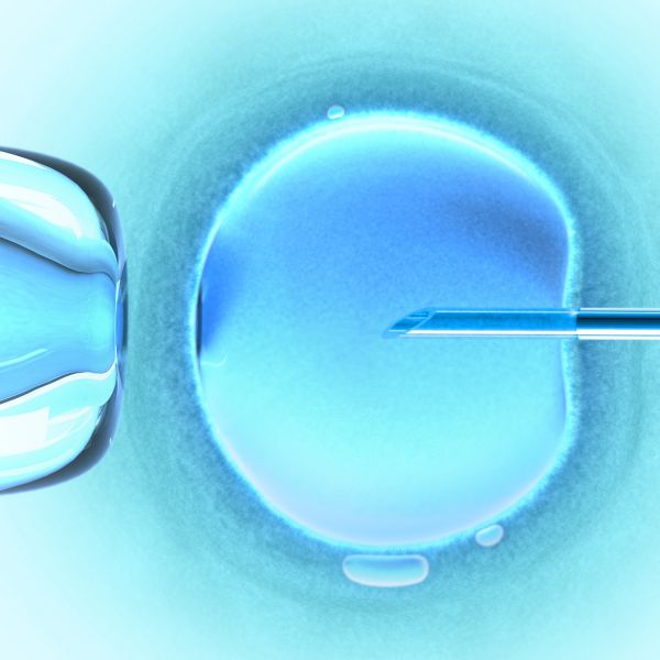 . Sex, Science and Society after 40 years of IVF