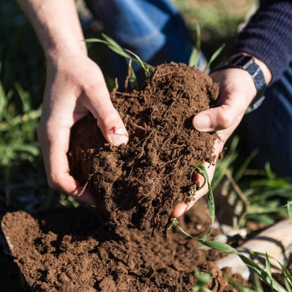 . Australian farming the focus of new Soil Research Centre