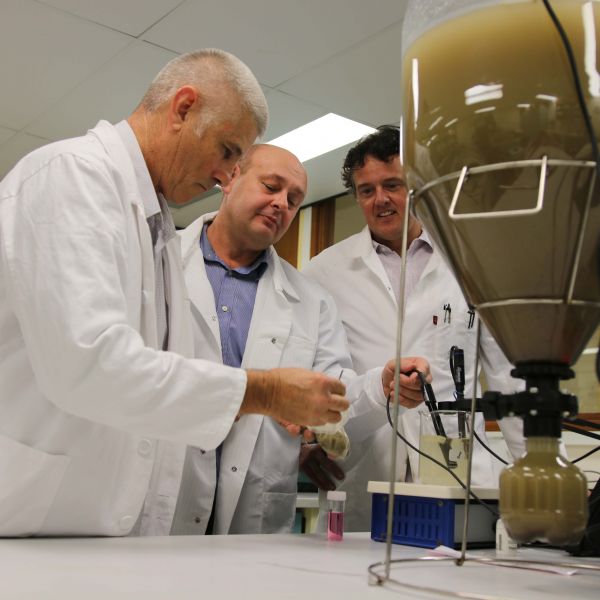 . Researchers to remediate PFAS contamination with hemp seed proteins