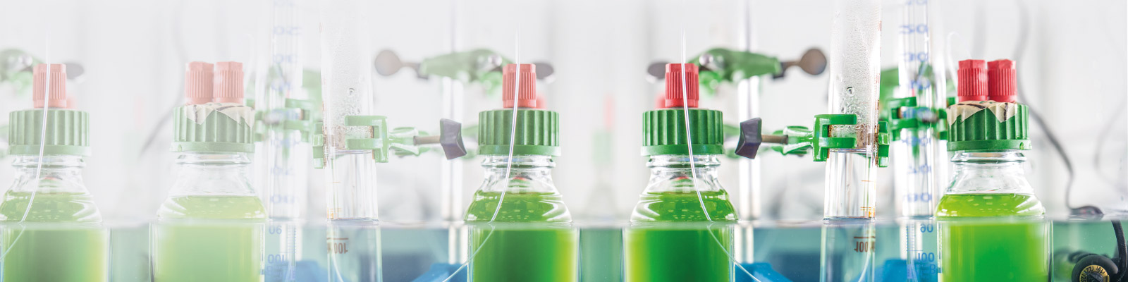 Manufacturing and sensing of environmental biotoxins