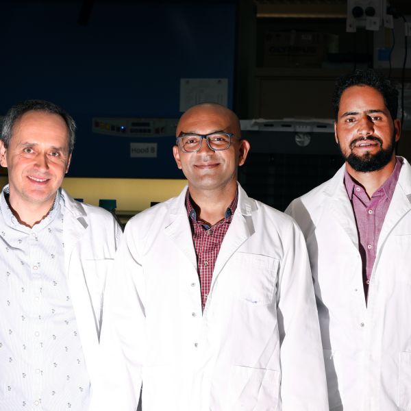 Associate Professor Pradeep Tanwar (centre) with research team colleagues Dr Dariusz Alterman (left) and Dr Shafiq Syed (right).. Cell finding brings hope for uterus ailments