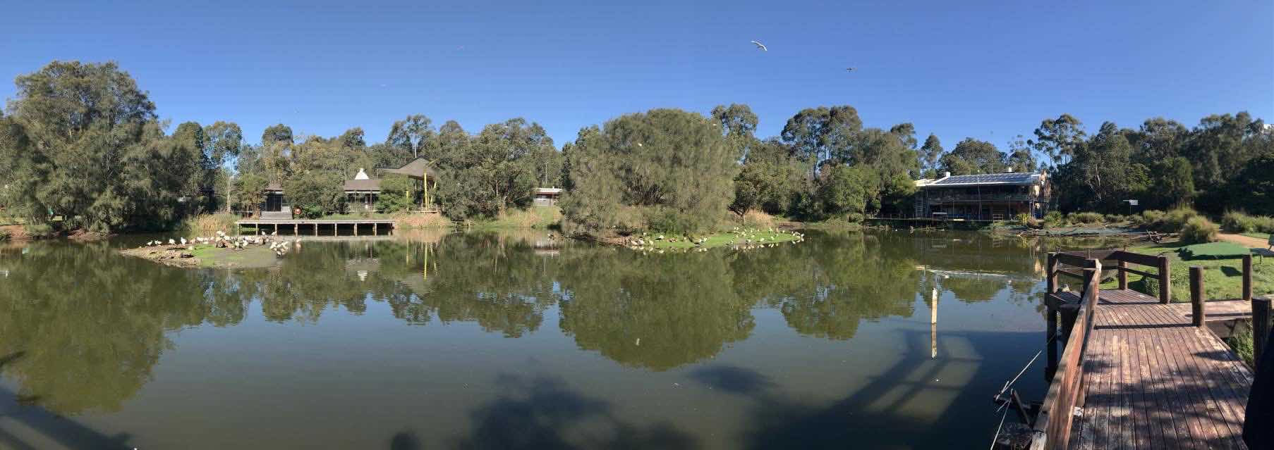 Hunter wetland centre