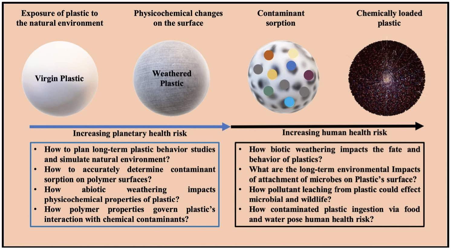 Interaction of chemical contaminants with microplastics: Principles and perspectives