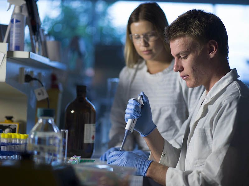 Two students looking at a dish in a lab
