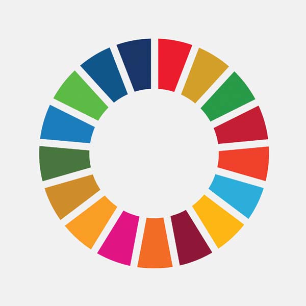 SDG Progress Report 2021 (PDF 4MB)