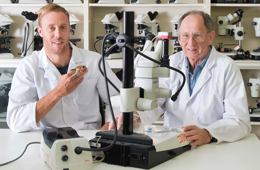 Scientists Simon Clulow and Michael Mahony in the lab