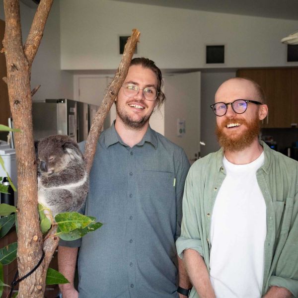 Researchers and alumni Dr Ryan Witt and Dr Lachlan Howell (Doctor of Philosophy, 2022; Bachelor of Environmental Science and Management (Hons), 2016; Bachelor of Social Science, 2015) with koala Peter Lemon Tree at Port Stephens Koala Hospital – one of 16 wildlife hospitals and zoos identified across Australia that could help collect koala sperm and integrate assisted reproduction.