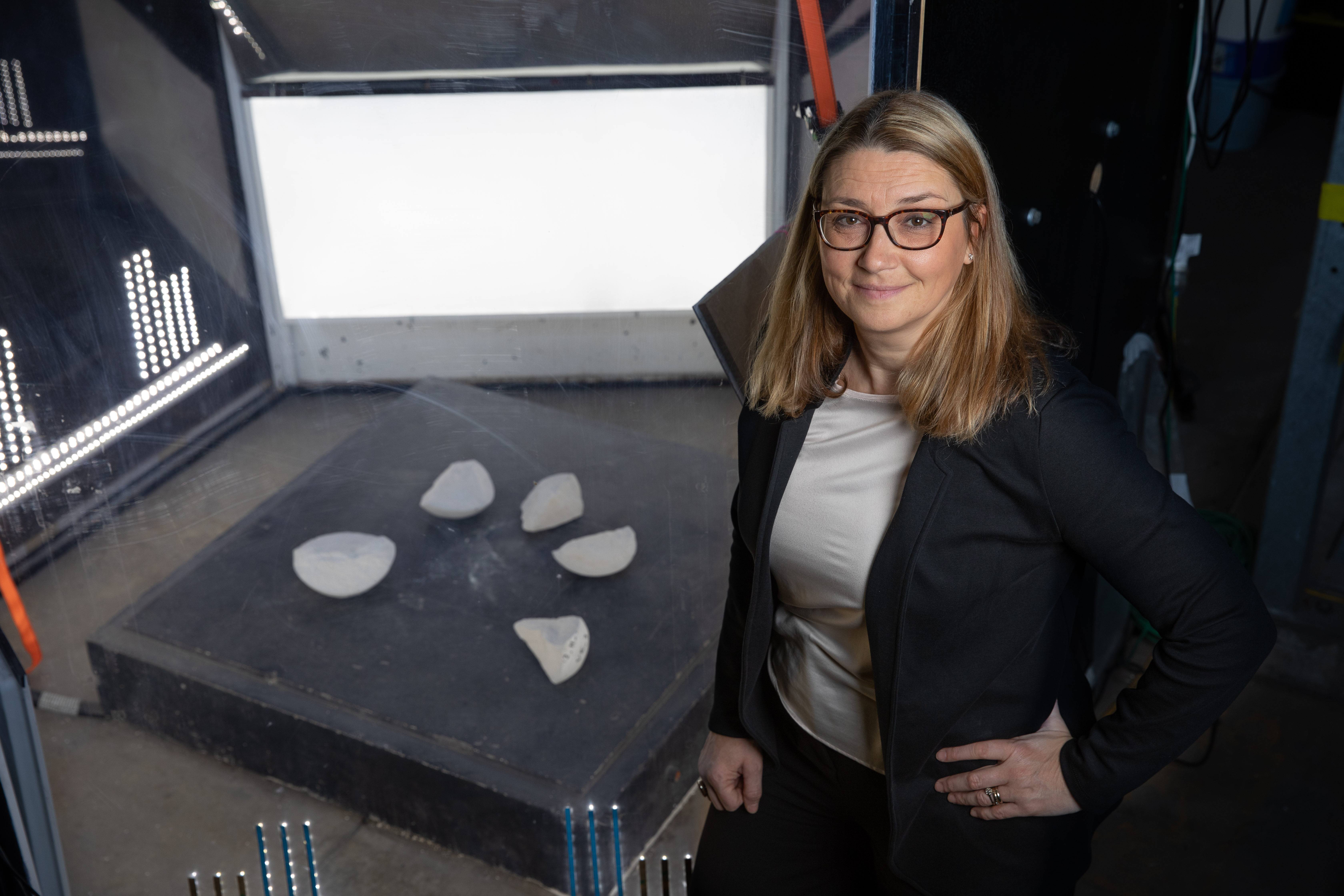 Professor Anna Giacomini