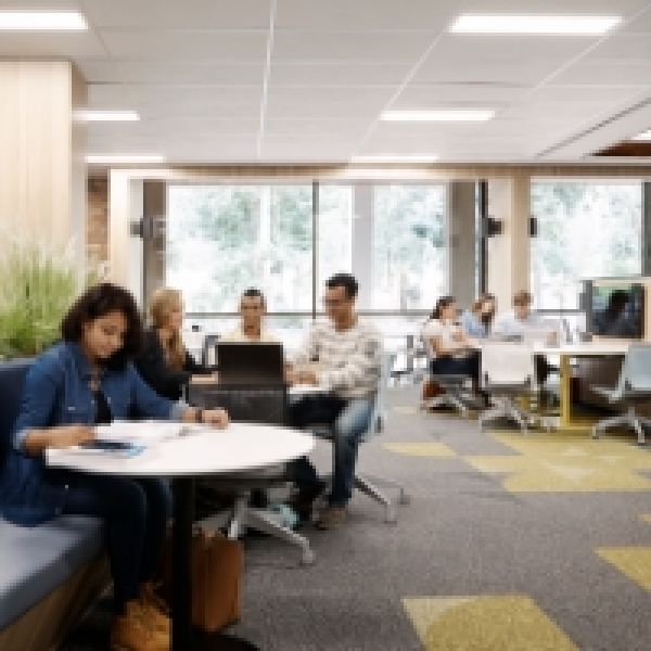 Students studying in the university library