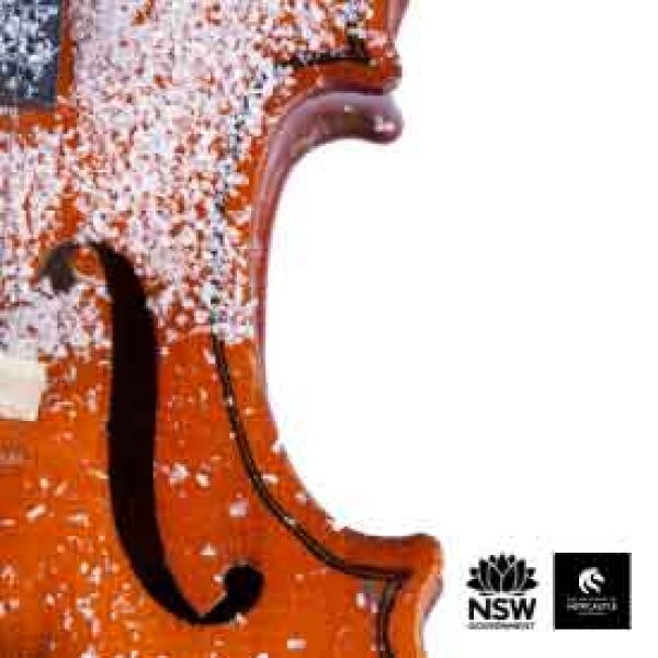 violin with snow