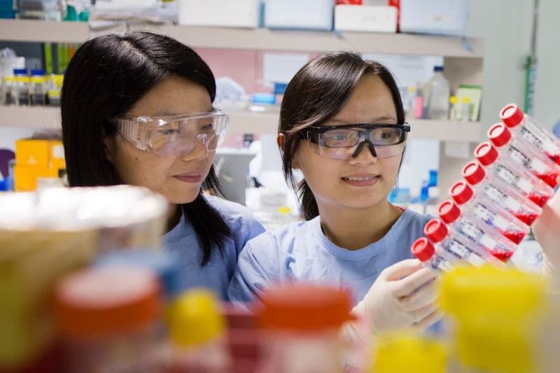 2024 Travel Grants for ASEAN and Pacific-based PhD Alumni