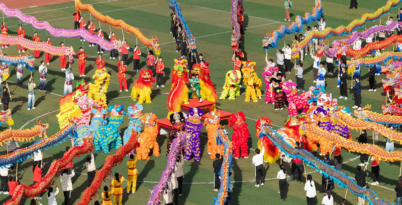 The Year of the Wood Dragon The Year of the Wood Dragon