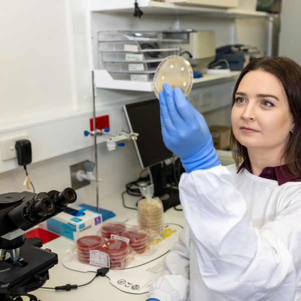 Emily Hoedt Dr Emily Hoedt in her lab examining a petri dish