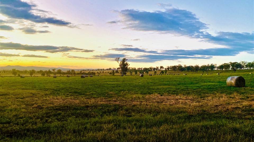 Mental Health  Service New Graduate Nurse Program