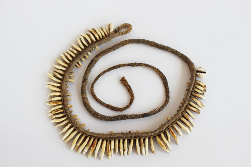 Dogs teeth necklace STH