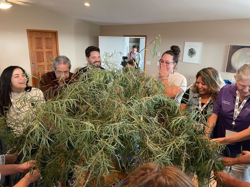 A group of people in a circle holding branches covered in green leaves in the middle of the circle.