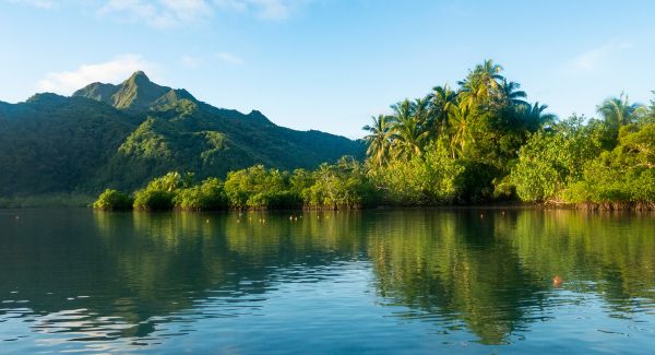 Supporting environmental sustainability in Samoa
