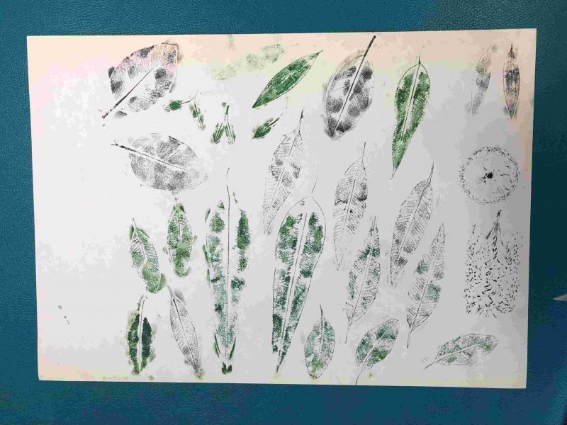 A4 paper showing prints made with ink pads of leaves and other different types of plants