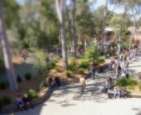 Where will an Arts degree take you?. Where will an Arts degree take you?