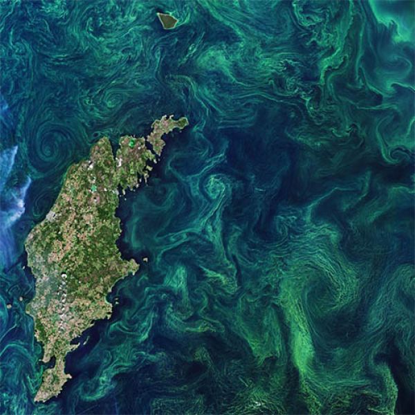 An aerial view of the sea