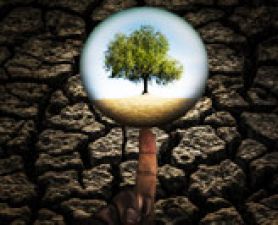 Funding success for Construction Management Researchers. Funding Success for Construction Management Researchers