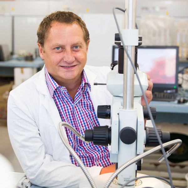 PROFILE - Brett Neilan Brett Neilan