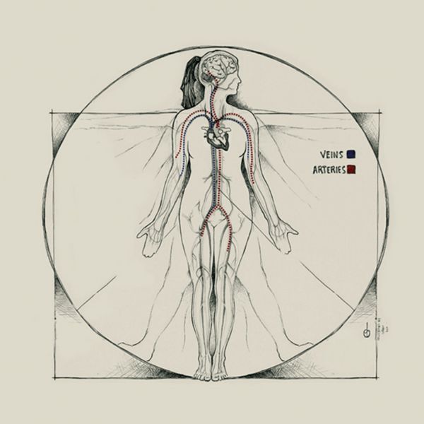 . UON researchers shine in 2017 NHMRC funding