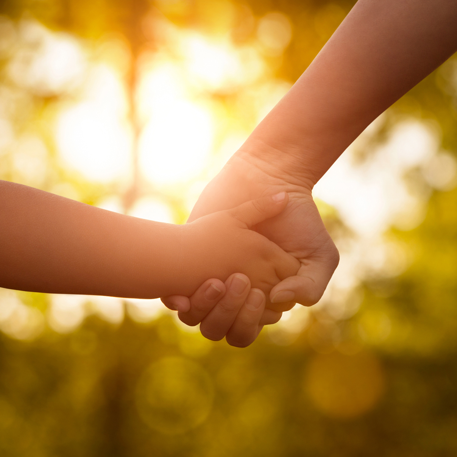 family and community strengths