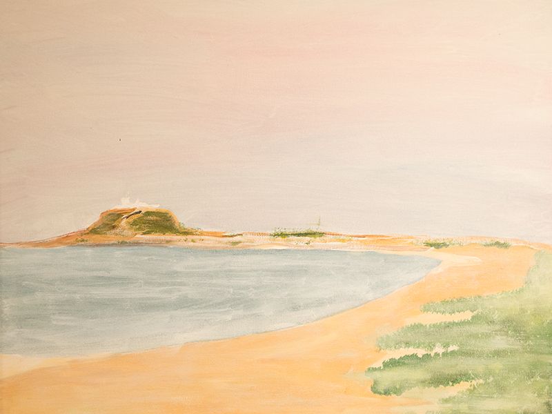 Nobby’s – Dog Beach