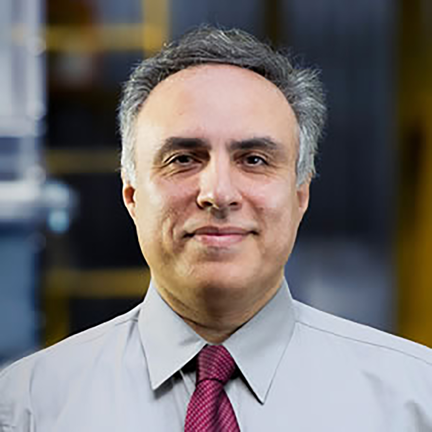Laureate Professor Behdad Moghtaderi / Staff Profile / The University ...