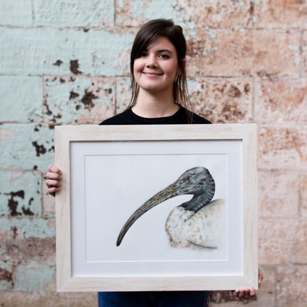 Sami Bayly with illustration of an ibis. Ugly is Beautiful for Innovation Award Winner