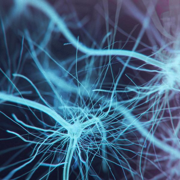 . Biomedical Science offers new study pathways