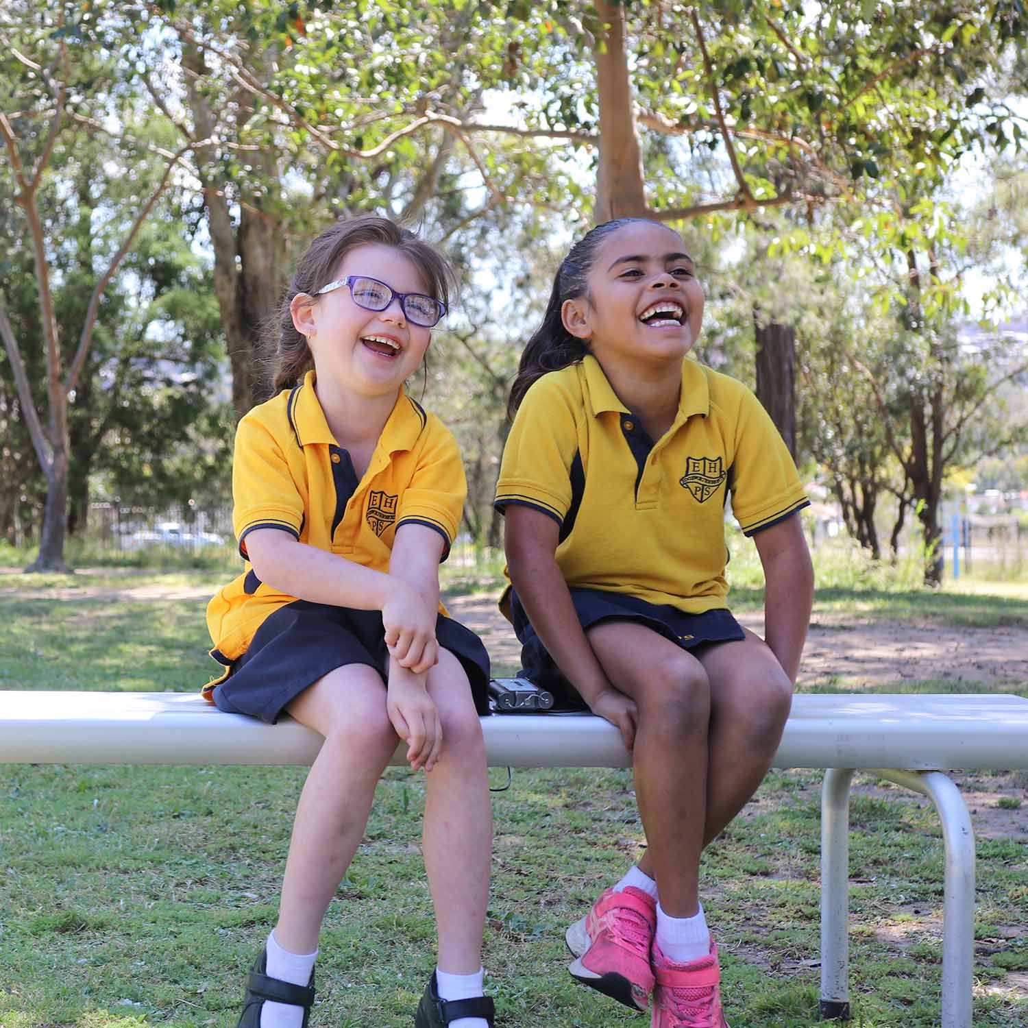 A tale of unlikely 'iso' pals