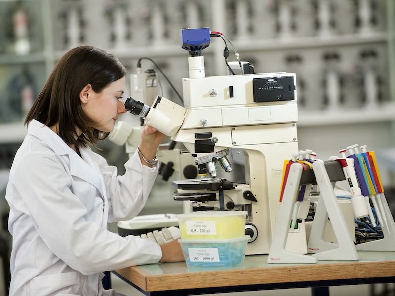 Student looking under microscope