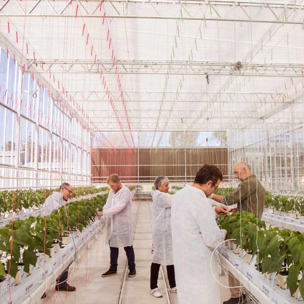 . Energy transition and society: a socio-technical challenge