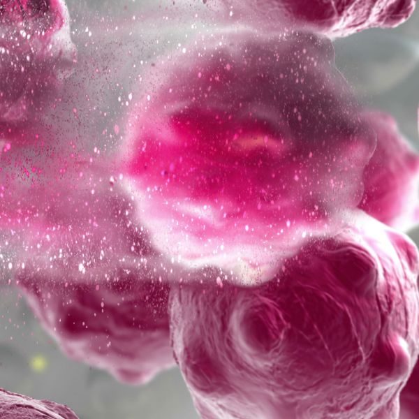 . $3.9m in NHMRC grants to fight global health problem  