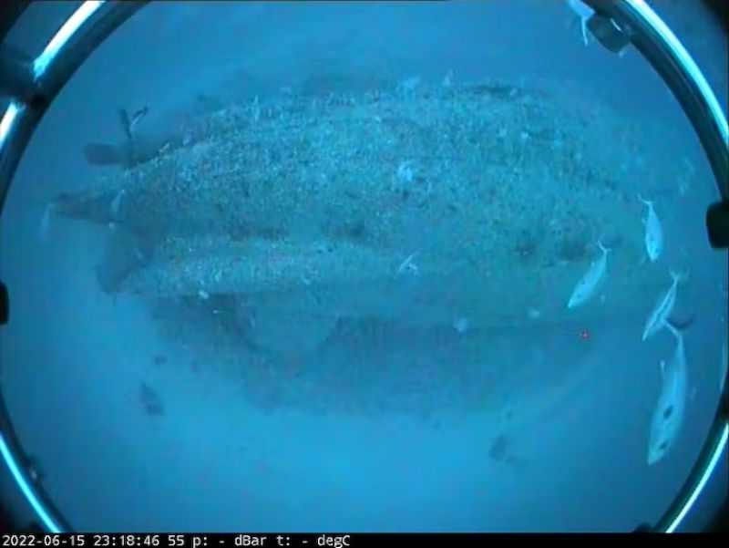 A downward looking image of the stern of the MV Limerick wreck collected using the towed drop camera.