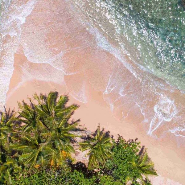 Samoa Alumni Catch Up