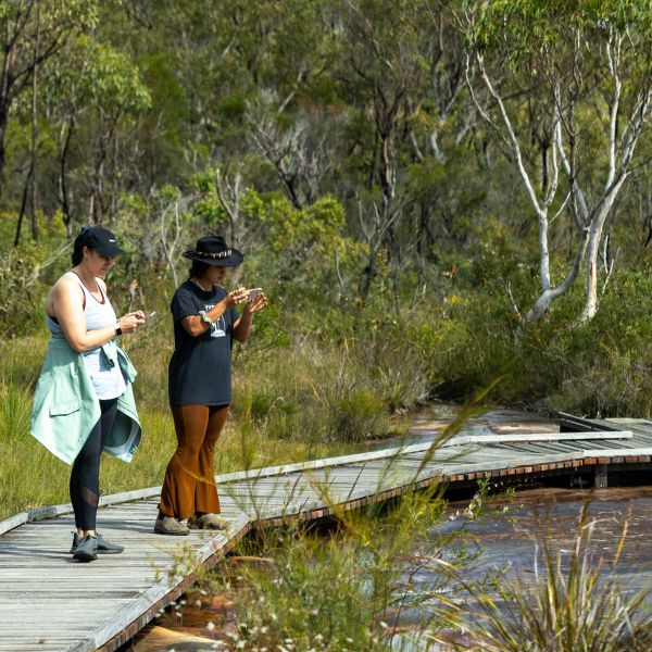 Students at Special Elective