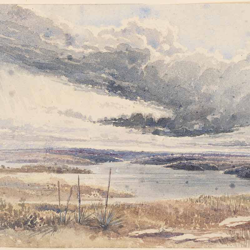 The botanical imperialism of weeds and crops: how alien plant species on the First Fleet changed Australia