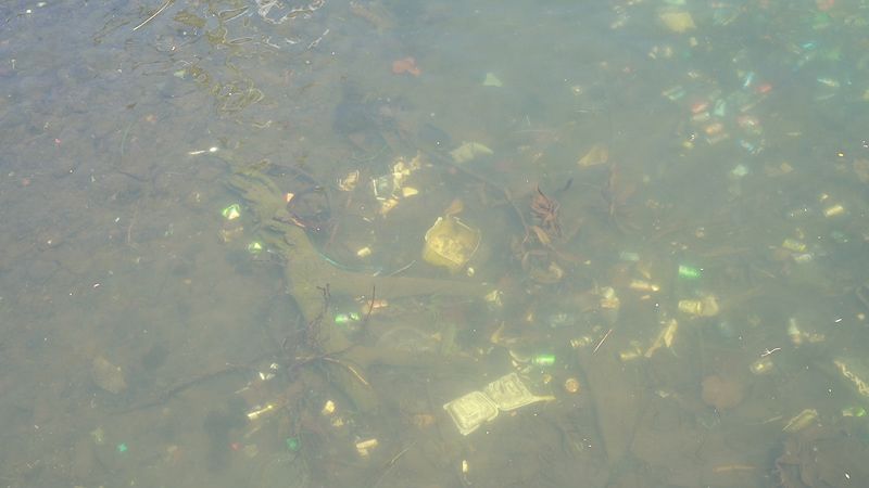 small plastic and pollution visible in a waterway
