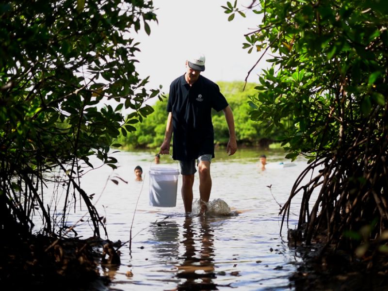 student carrying a bucket wading through the waterway of mangroves