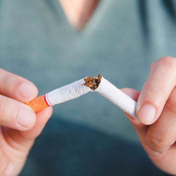 breaking cigarette. Research leading the way towards smoking cessation 